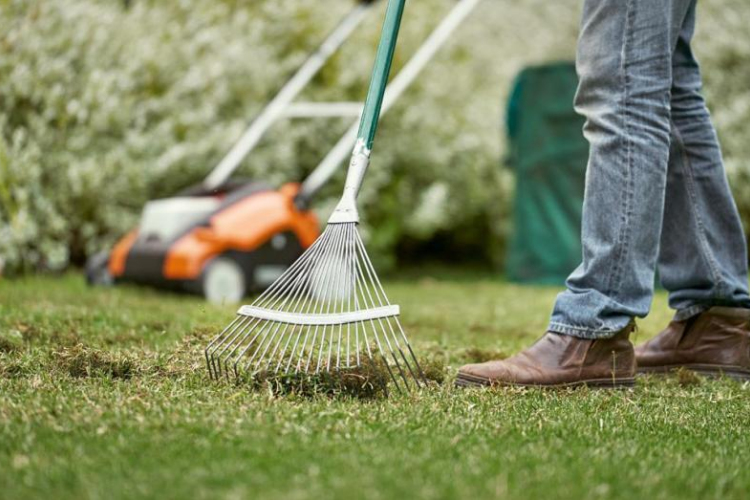 Így lehet környezetbarátabb módon nyírni a füvet